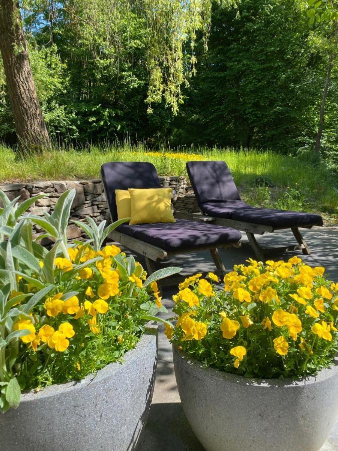 Loeffelmuehle Boutique Bed And Breakfast Pillig Екстериор снимка